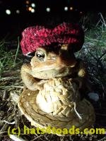 /home//u458753944/public_html/sourcegallery///////Roxborough Toad Detour/2013-2019/2017/P4030707.JPG